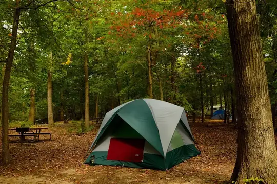 Green tent at a wooded campsite in Greenbelt Park campground, Maryland