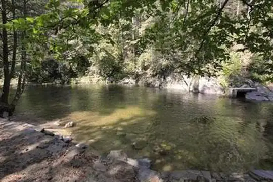 Rocky shallows of the Davidson River beside Davidson River Campground, Pisgah National Forest