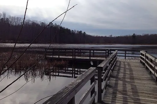 Lake and wooded shoreline at Pocahontas State Park near Richmond, Virginia