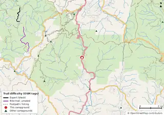 Map of trails near Desoto Falls Recreation Area