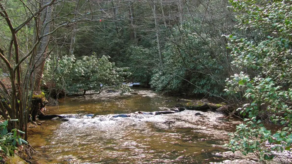 Rock Creek at Frank Gross Campground