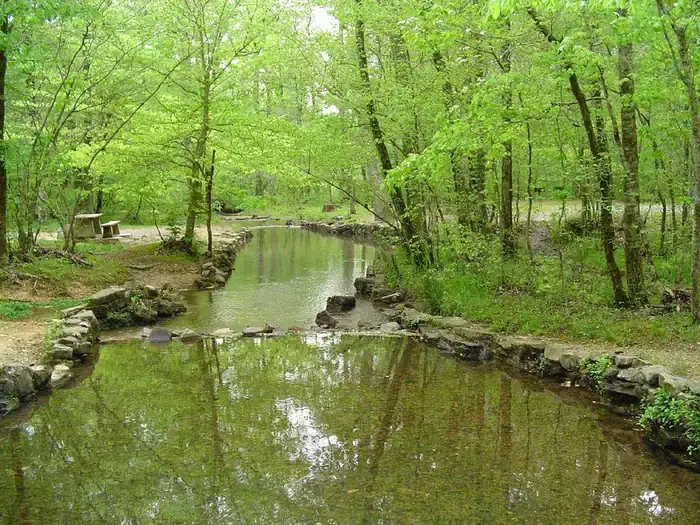 Spring Branch at Pocket Recreation Area