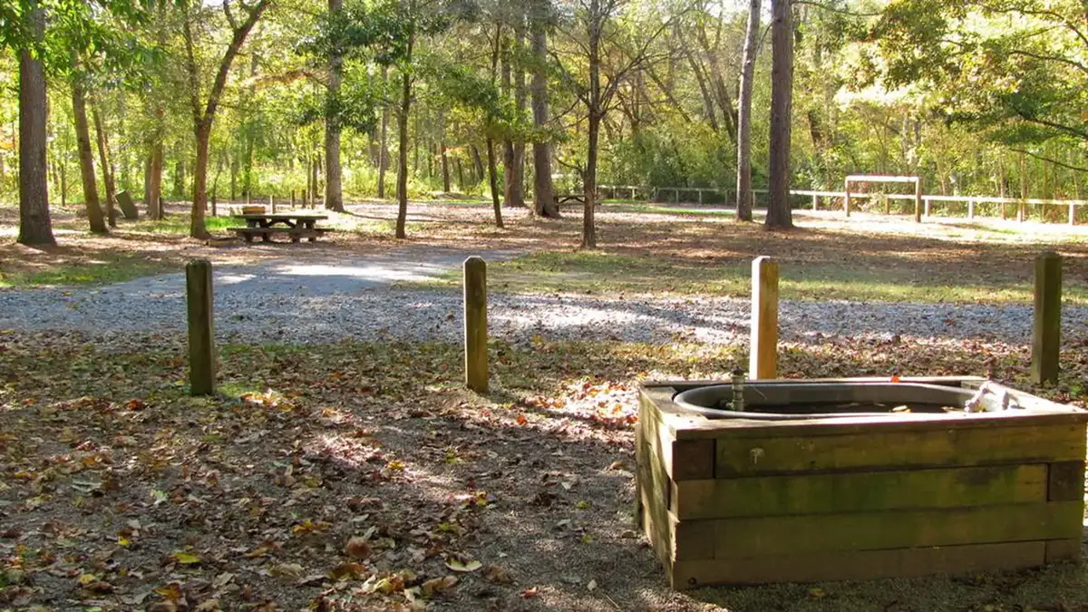 Trough and campground at Cottonwood Patch Campground