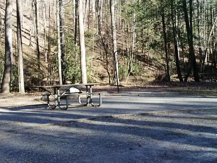 Typical Campsite at Low Gap Campground
