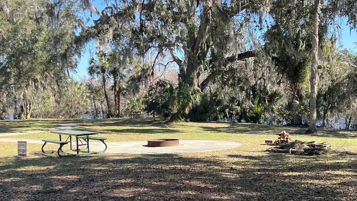 River Forest Group Site