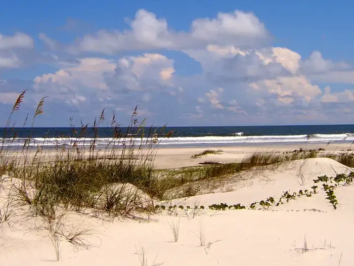 undeveloped beach complete with sea oat covered dunes, light sands, blue sky, and crashing waves at Cumberland Island National Seashore Camp