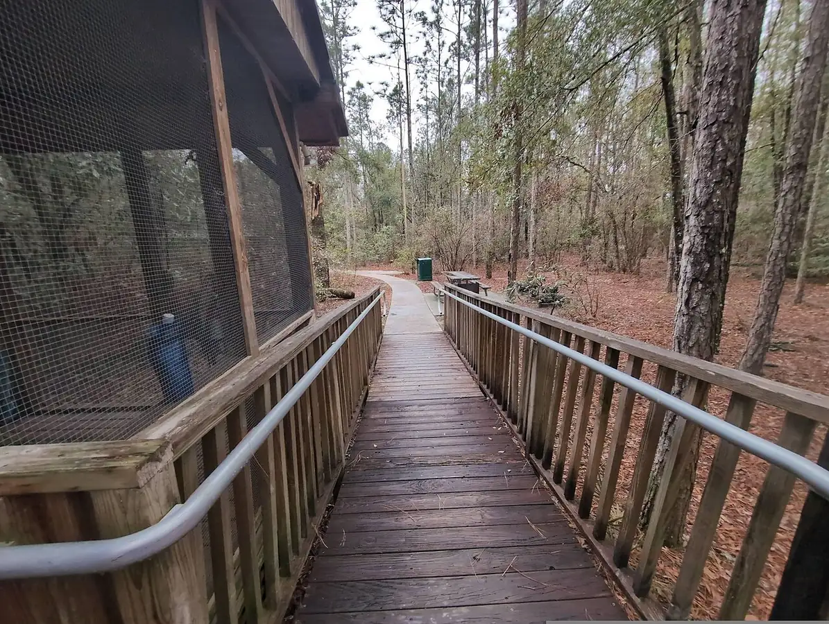 Woods Ferry River Camp: Camping cabin at Woods Ferry River Camp