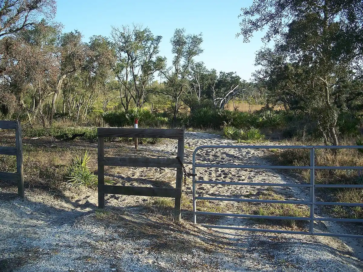 Allen David Broussard Catfish Creek Preserve State Park: Allen David Broussard Catfish Creek: Path