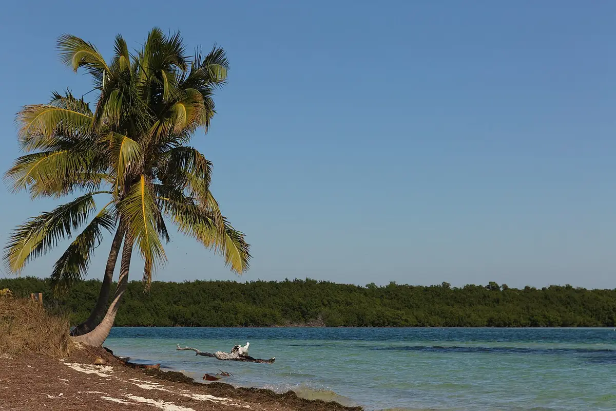 Bahia Honda State Park: Florida Keys