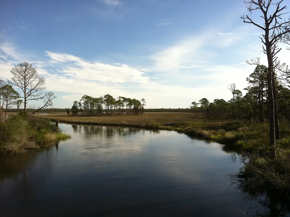 Bald Point State Park: Taken from Chaires Creek Bridge on Range Rd. inside of Bald Point State Park