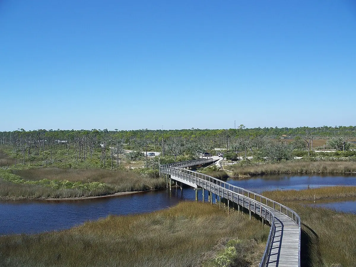 Big Lagoon State Park: Big Lagoon State Park: View from observation tower