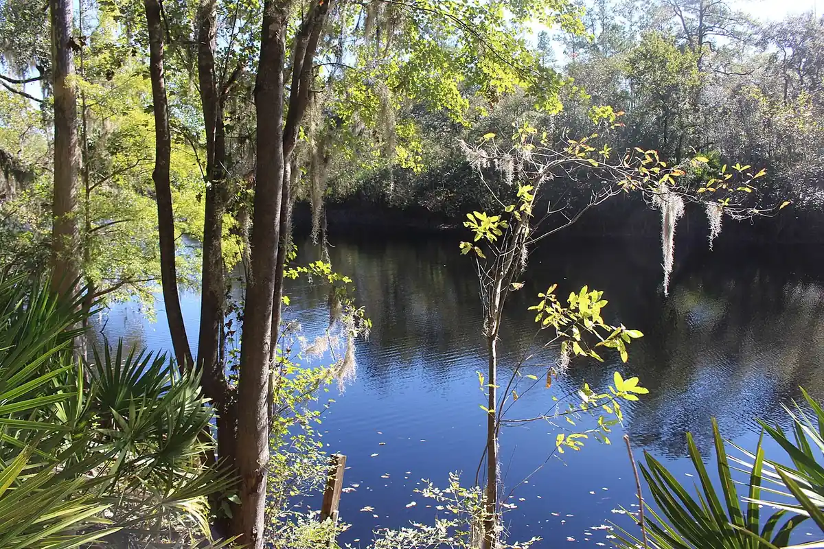 Big Shoals State Park: Suwannee River, Big Shoals State Park, Hamilton County, Florida