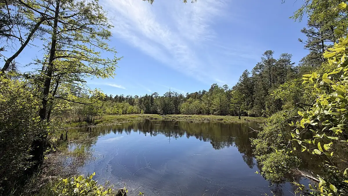 Blackwater River State Park: A view of the Blackwater River