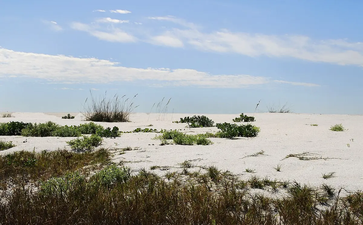 Cayo Costa State Park: South End of Cayo Costa State Park, Florida.