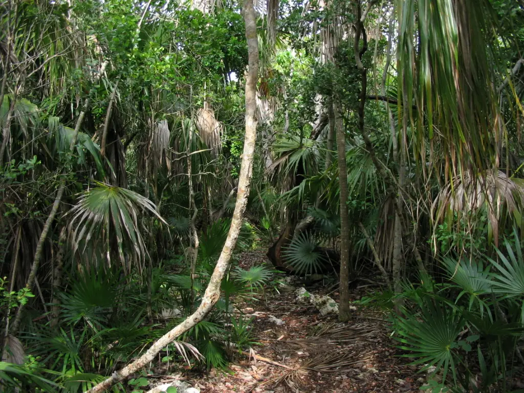 Curry Hammock State Park: The state park is located in Florida.