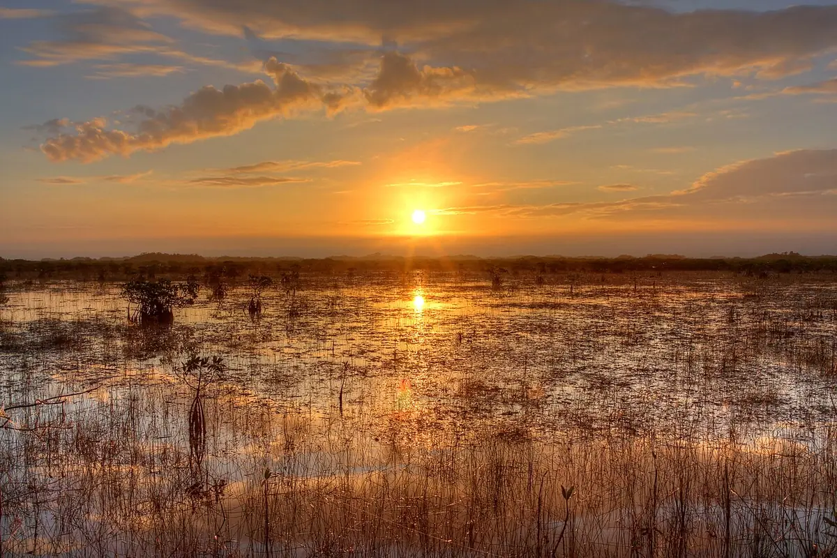 Everglades National Park: Sunset over the River of Grass, NPSphoto, G.Gardner