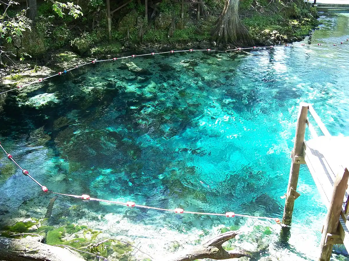 Fanning Springs State Park: The springs in Fanning Springs State Park, in Fanning Springs, Florida