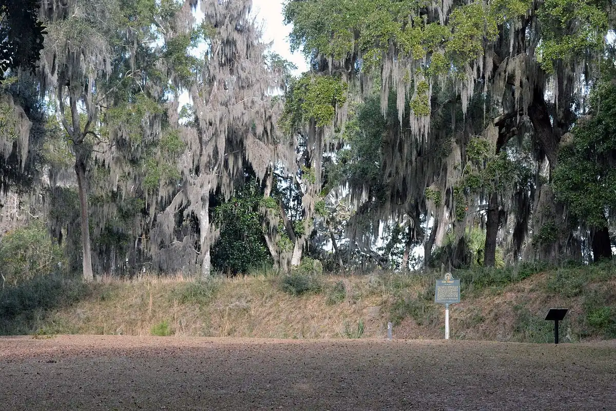 Fort Morris State Historic Site: Earthen mounds of Fort Morris, near Midway, GA, USA