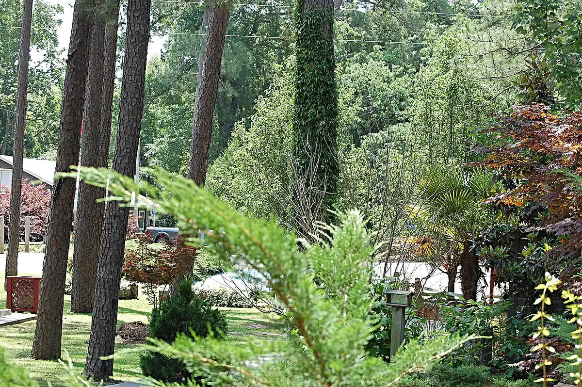 George L. Smith State Park: Entrance to George L. Smith State Park in Georgia