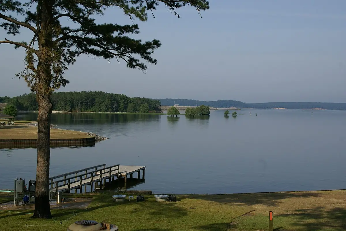 George T. Bagby State Park: East Bank of George T. Bagby State Park near Fort Gaines, Georgia, USA