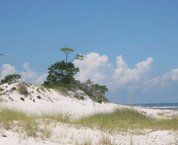 Gulf Islands National Seashore: Gulf Islands National Seashore, Florida.