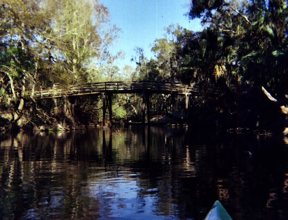 Hillsborough River State Park: Hillsboro River Taken by User:Mwanner, February, 2005.