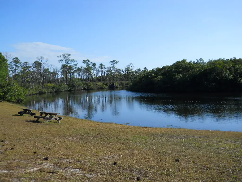 Jonathan Dickinson State Park: Jonathan Dickinson State Park, swimming area on the Loxahatchee River, Martin County, Florida