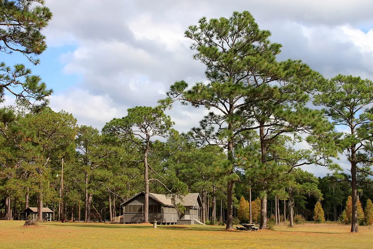 Laura S. Walker State Park: Laura S Walker State Park