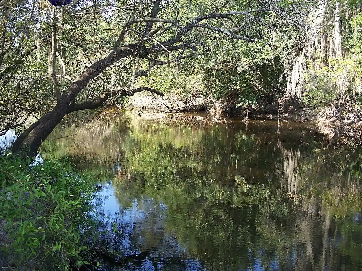 Little Manatee River State Park: Little Manatee River State Park: Little Manatee River
