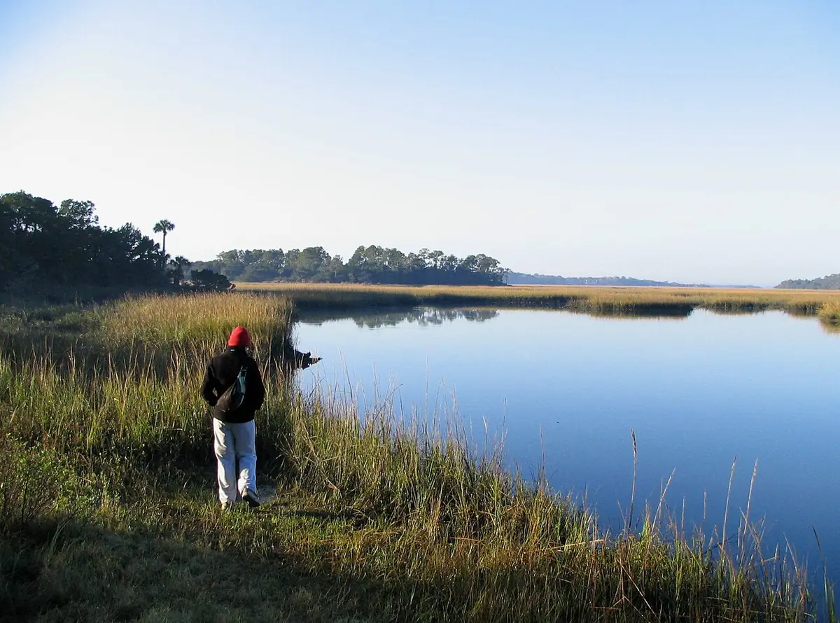 Little Talbot Island State Park: Little Talbot Island - Myrtle Creek Florida, USA