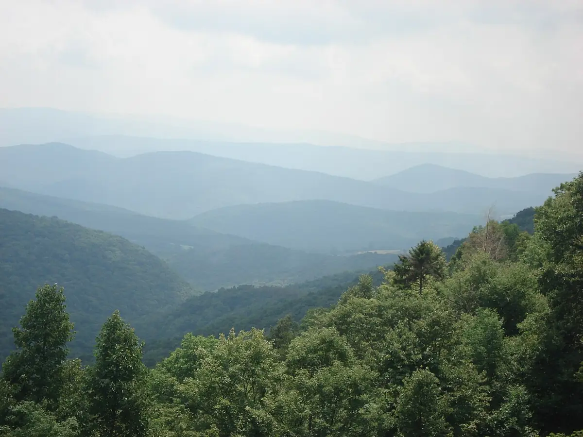 Monongahela National Forest: The Monongahela National Forest; photo taken from slopes of Back Allegheny Mountain looking east