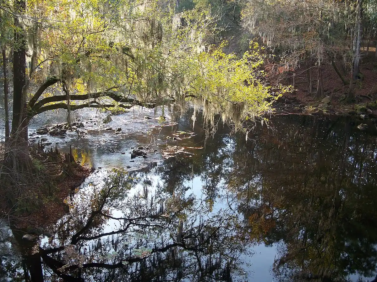 O'Leno State Park: O'Leno State Park: Santa Fe River, looking south from the bridge in the park.