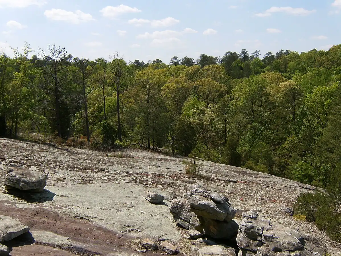 Panola Mountain State Park: View of Panola Mountain