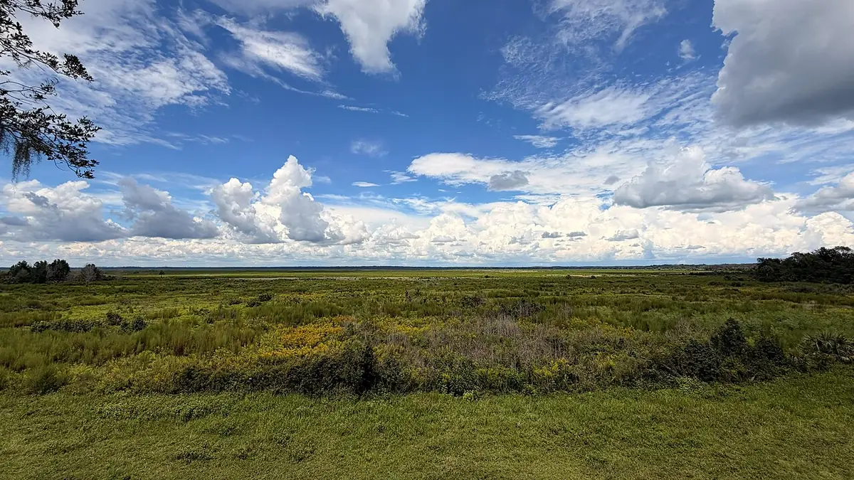 Paynes Prairie Preserve State Park: Wide shot overlooking the prairie