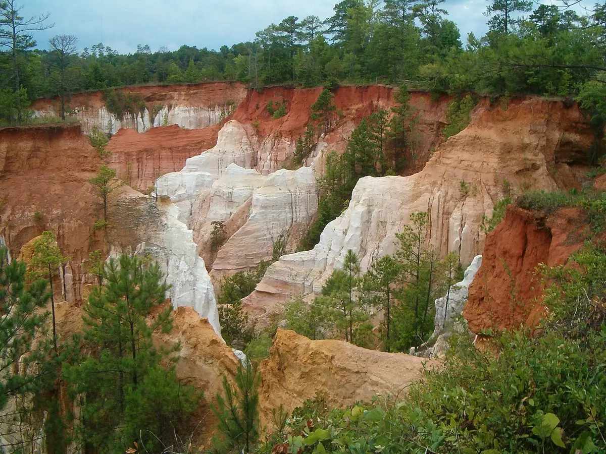 Providence Canyon State Park: Photo of part of Providence Canyon from rim near entrance road.