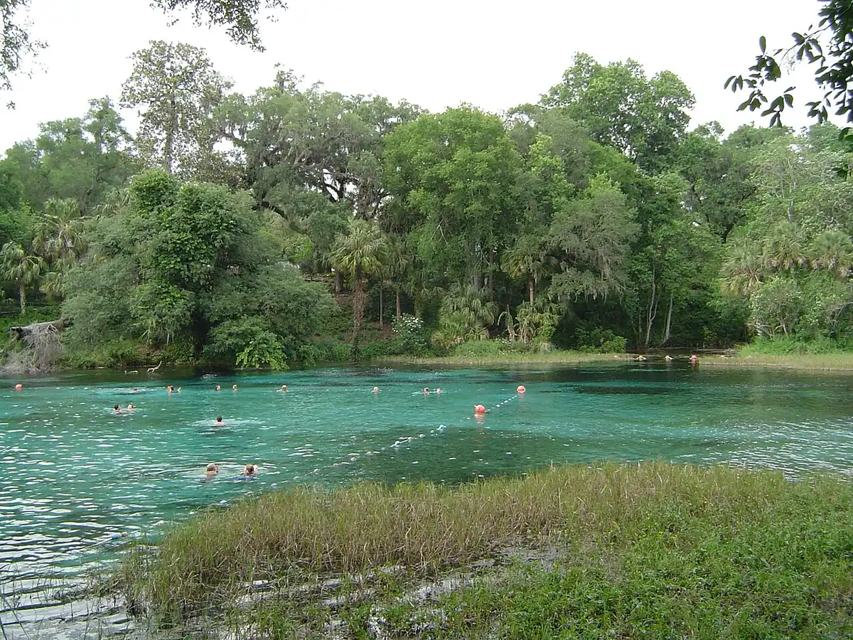 Rainbow Springs State Park: Photograph of Rainbow Springs in Marion County, Florida (2005).