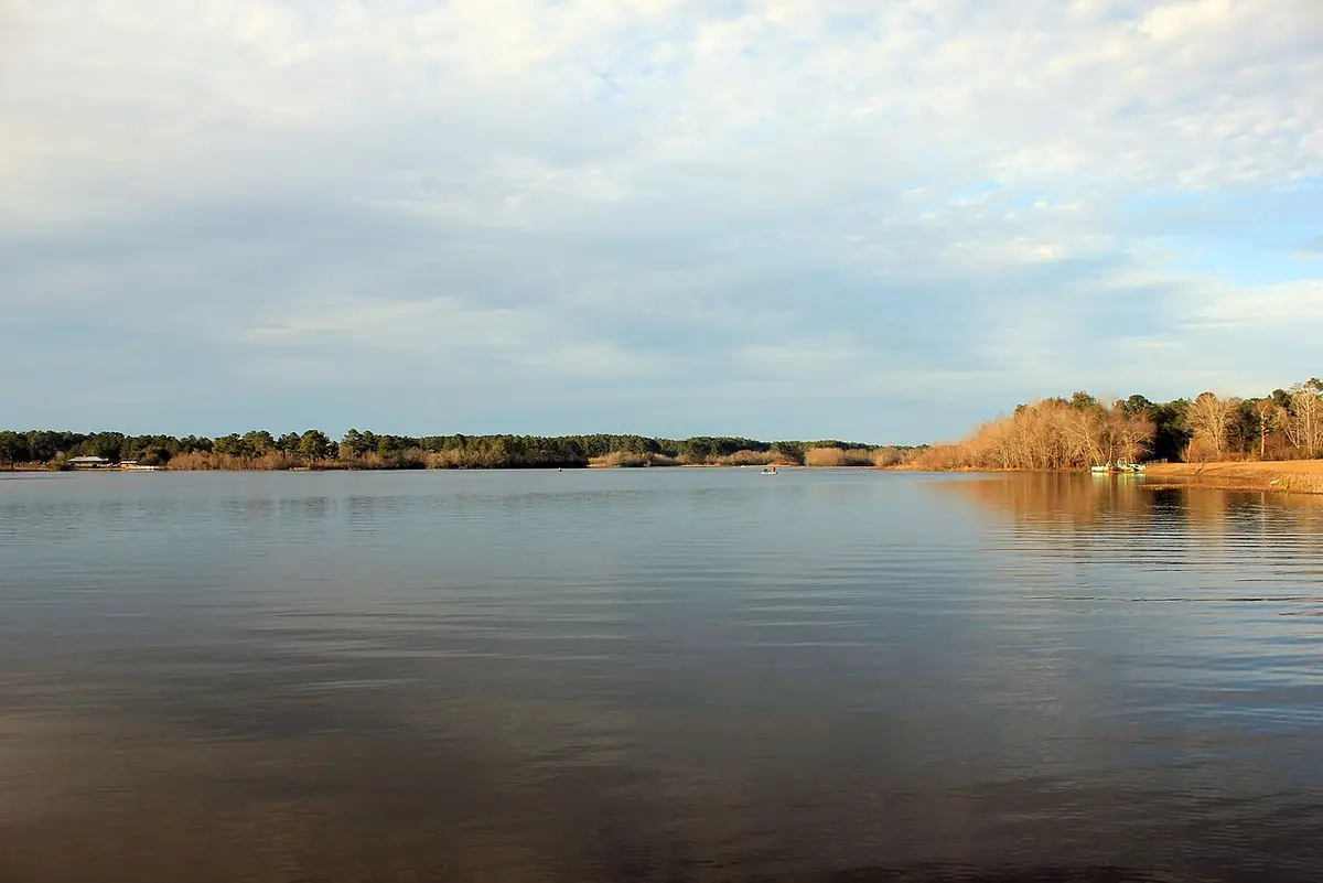 Reed Bingham State Park: Main lake of Reed-Bingham State Park