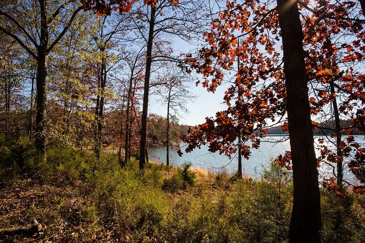 Richard B. Russell State Park: IMG_8867.jpg