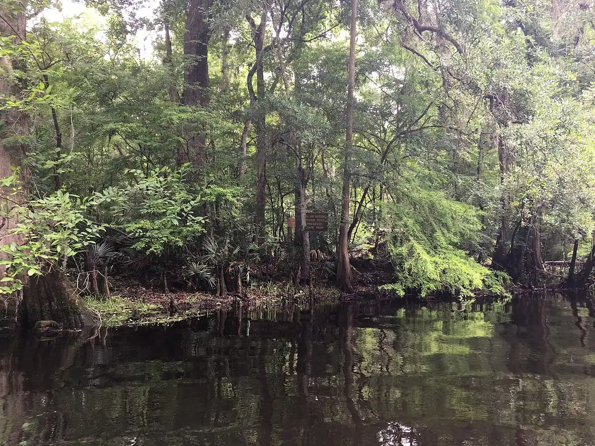 River Rise Preserve State Park: River Rise Preserve State Park