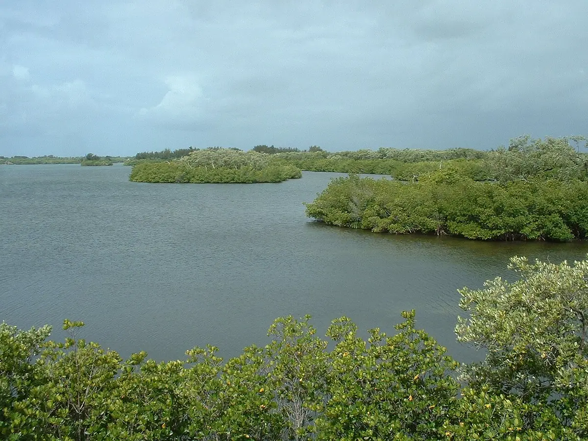 Sebastian Inlet State Park: Indian River shore of Sebastian Inlet State Park, Florida