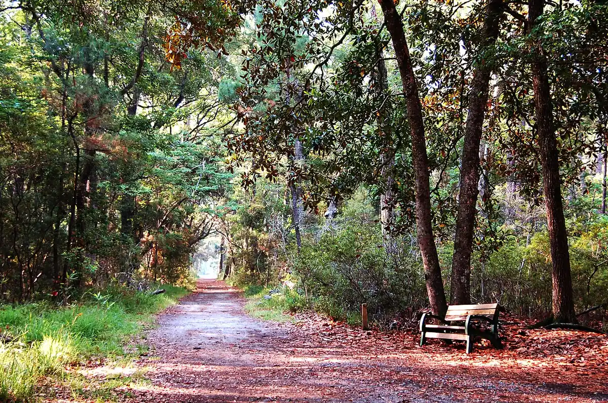 Skidaway Island State Park: Skidaway Island State Park 15