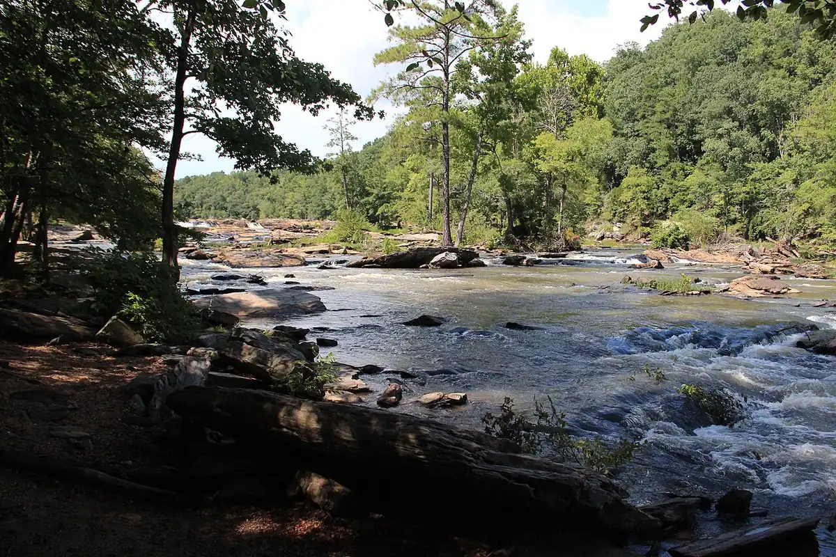 Sweetwater Creek State Park: Sweetwater Creek in Sweetwater Creek State Park
