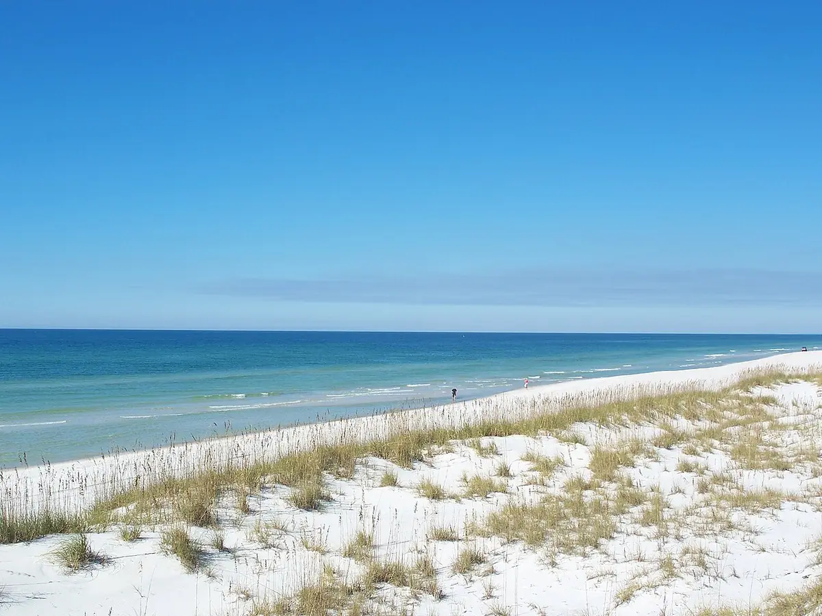 T.H. Stone Memorial St. Joseph Peninsula State Park: St. Joseph Peninsula State Park — beach, looking north.