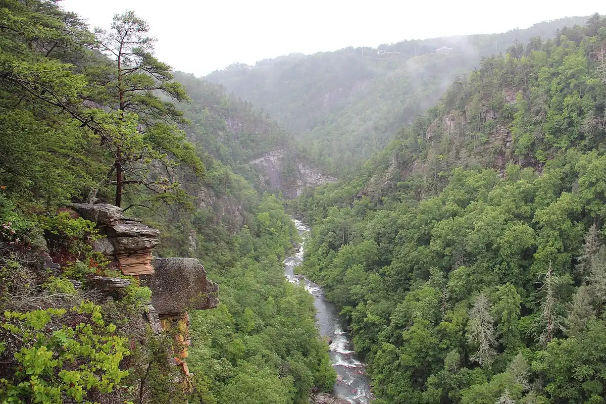 Tallulah Gorge State Park: Tallulah Gorge as seen from an overlook