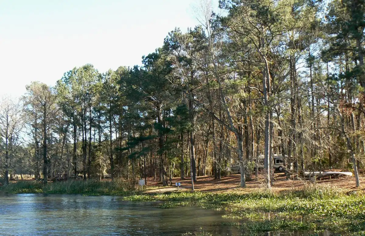 Three Rivers State Park: Three Rivers State Recreation Area, Jackson Co., Florida; camping site along shore of Lake Seminole