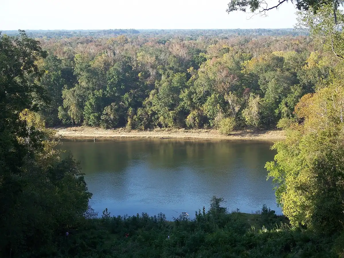 Torreya State Park: View of the Apalachicola river from behind the Gregory House in Torreya State Park